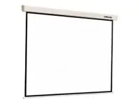Reflecta Crystal-Line Motor lux - Leinwand - Deckenmontage möglich, geeignet für Wandmontage - motorisiert - 277 cm (109") 87672