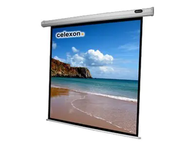 Celexon Economy electric screen - Leinwand - Deckenmontage möglich, geeignet für Wandmontage - motorisiert - 311 cm (122") - 1:1