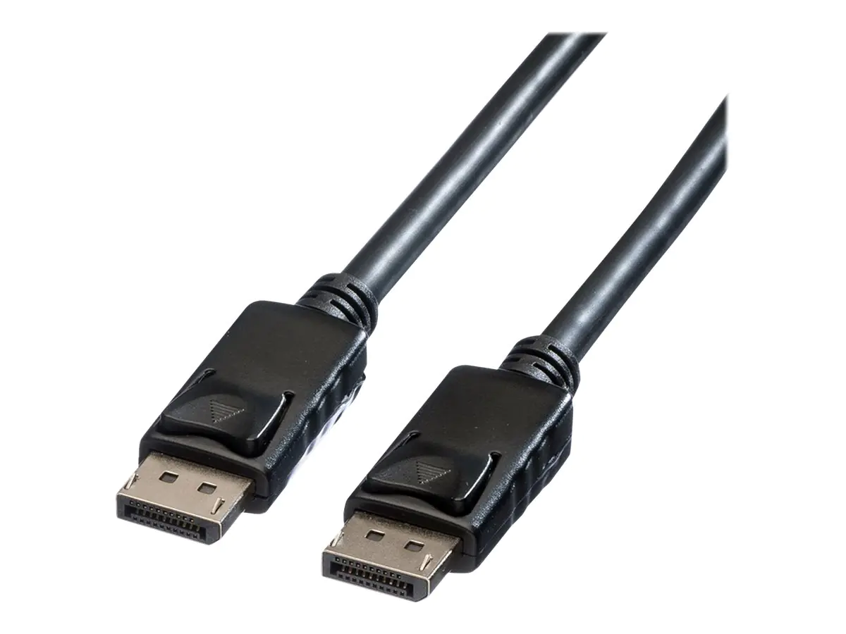 ROLINE DisplayPort-Kabel - DisplayPort (M) 11.04.5601