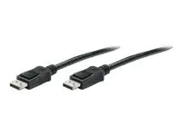 Techly DisplayPort-Kabel - DisplayPort (M) ICOC-DSP-A-100