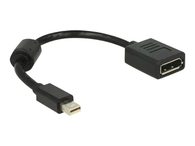 Delock - DisplayPort-Adapter - DisplayPort (W) zu Mini DisplayPort (M) - 21 cm - Schwarz Delock - DisplayPort-Adapter - DisplayPort (W) zu Mini DisplayPort (M) - 21 cm - Schwarz