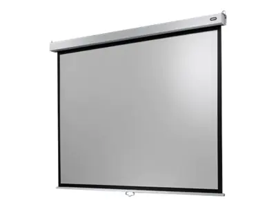 celexon Manual Professional Plus Data format - Leinwand - Deckenmontage möglich, geeignet für Wandmontage - 275 cm (108") 1090783