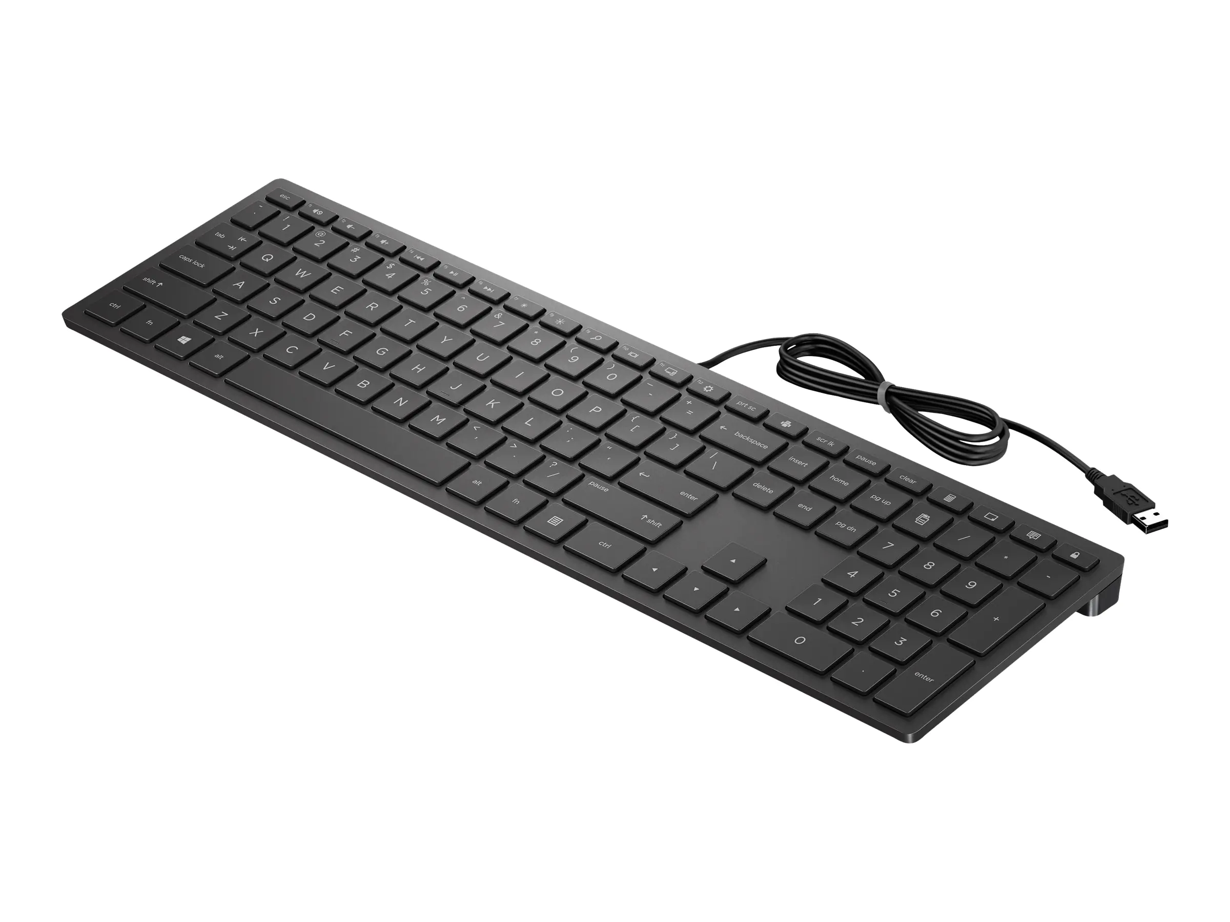 HP Pavilion 300 - Tastatur - USB - Deutsch - Jet Black - für Pavilion 24, 27, 590, 595, TP01