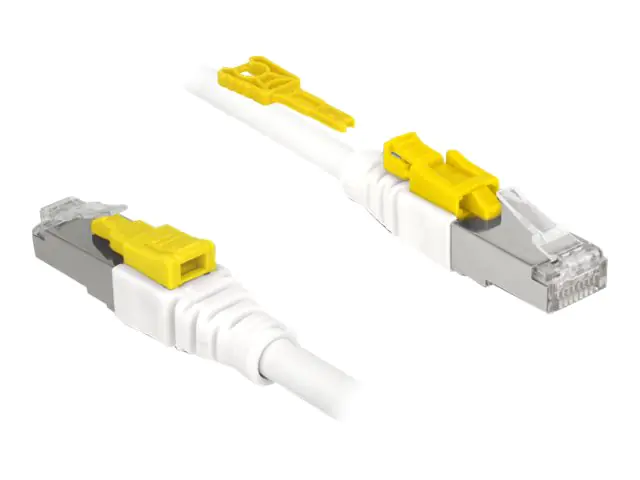 Delock Secure - Patch-Kabel - RJ-45 (M) zu RJ-45 (M) 85330