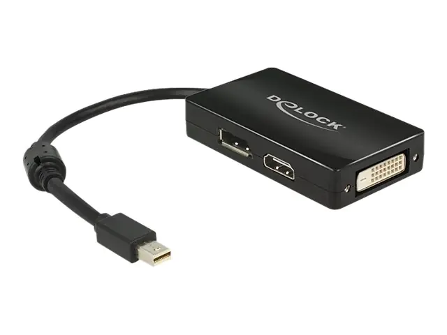 Delock Display-Adapter mini DisplayPort DisplayPort 62623 16.0 cm Schwarz Delock Display-Adapter mini DisplayPort DisplayPort 62623 16.0 cm Schwarz