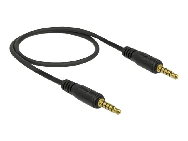 Delock Audiokabel - 5-poliger Mini-Stecker männlich zu 5-poliger Mini-Stecker männlich 85695