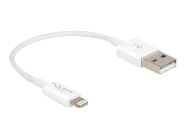 Delock Lightning-Kabel - USB männlich zu Lightning männlich 83001