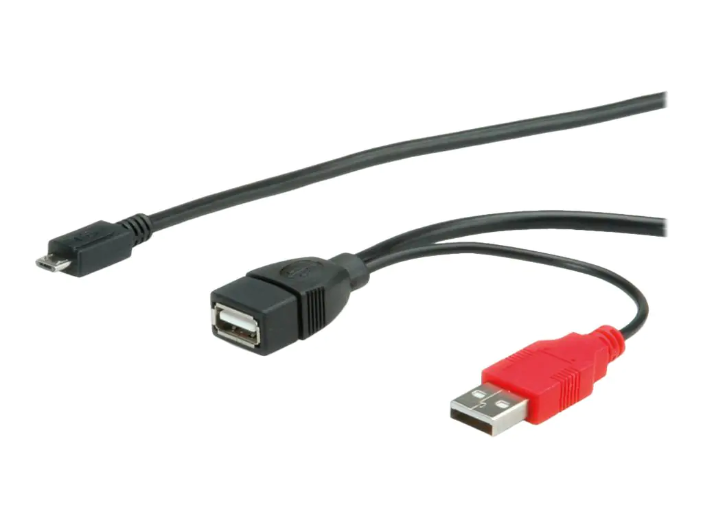 Roline - USB- / Stromkabel - Micro-USB Typ B (M) zu USB Typ B, USB (nur Strom) - 1 m - Schwarz Roline - USB- / Stromkabel - Micro-USB Typ B (M) zu USB Typ B, USB (nur Strom) - 1 m - Schwarz