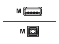 Equip USB-Kabel - USB (M) zu USB Typ B (M) 128862
