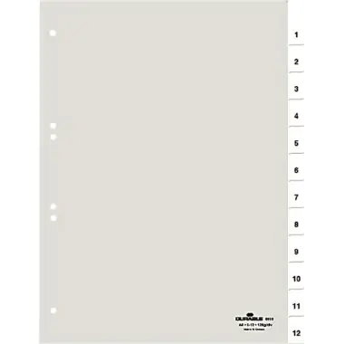 DURABLE Ordnerregister 681019 1-12/Jan-Dez A4 umschweißte Taben DURABLE Ordnerregister 681019 1-12/Jan-Dez A4 umschweißte Taben