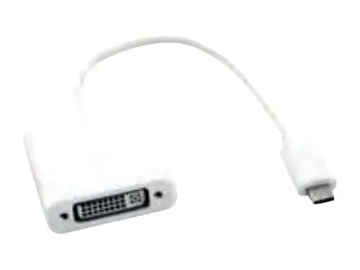 Roline - Externer Videoadapter - USB-C - DVI - Silber, Aluminium