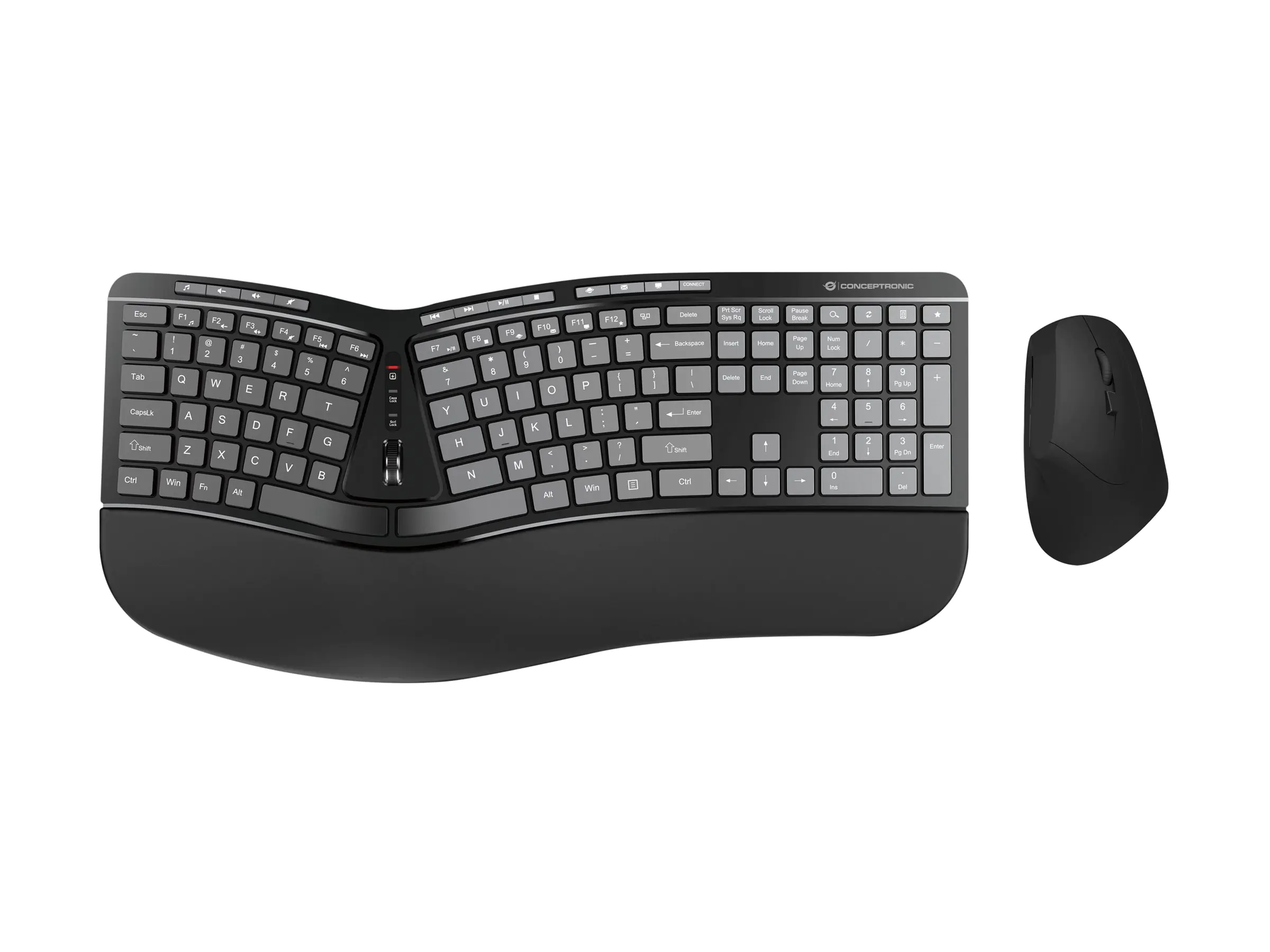 Conceptronic Wireless Keyboard+Mouse ergo Layout US sw