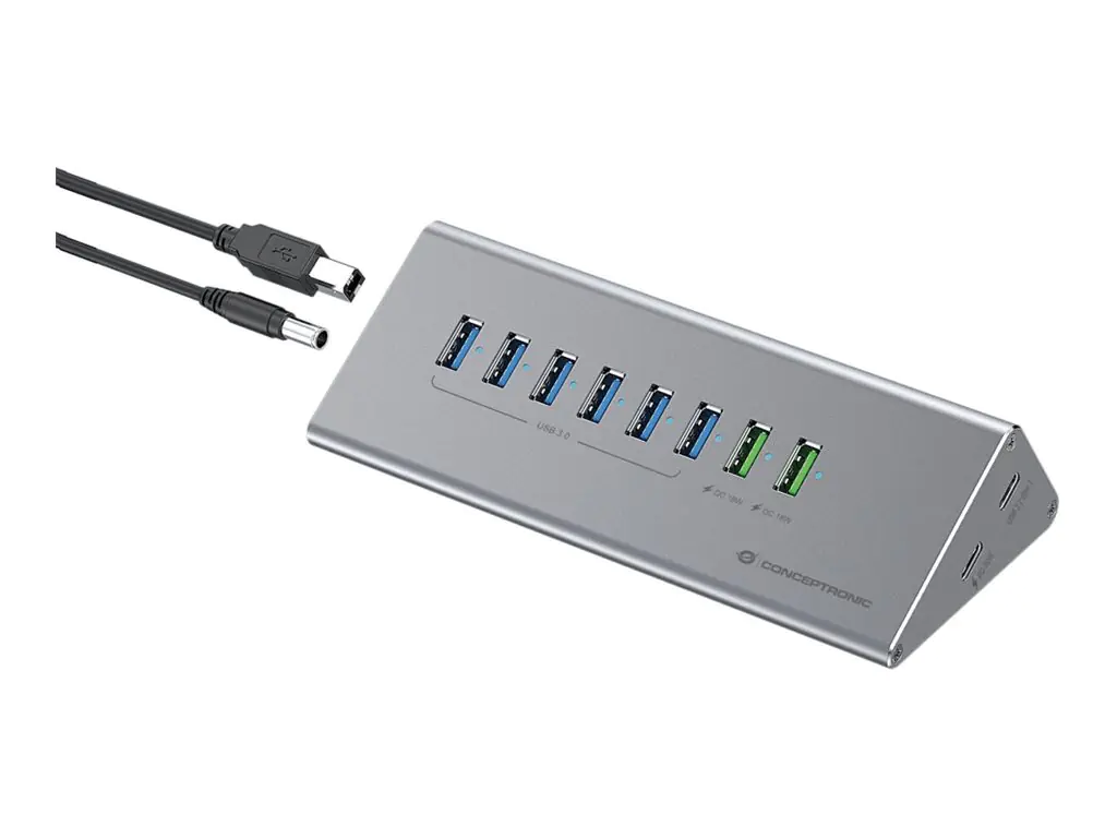 Conceptronic HUBBIES HUBBIES18G - Hub - 2-in-1