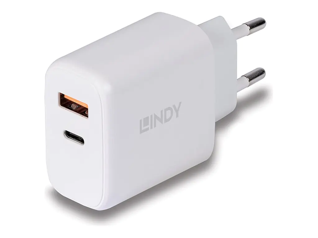 Lindy Netzteil - 30 Watt - 3 A - PD 3.0 - 2 Ausgabeanschlussstellen (4-poliger USB Typ A / 24-poliger USB-C) 73424