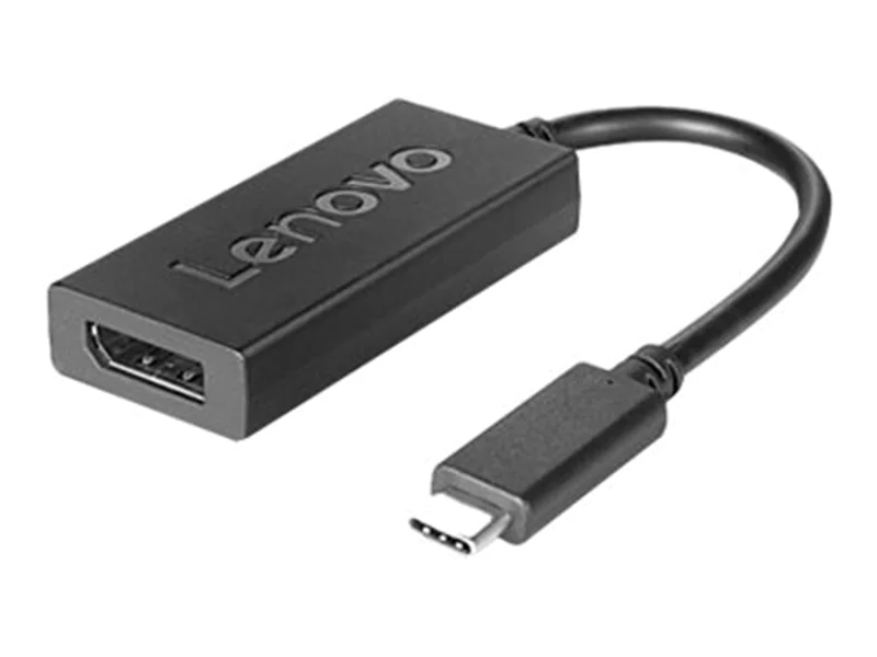 Lenovo USB / DisplayPort-Adapter - USB-C (M) 4X90Q93303
