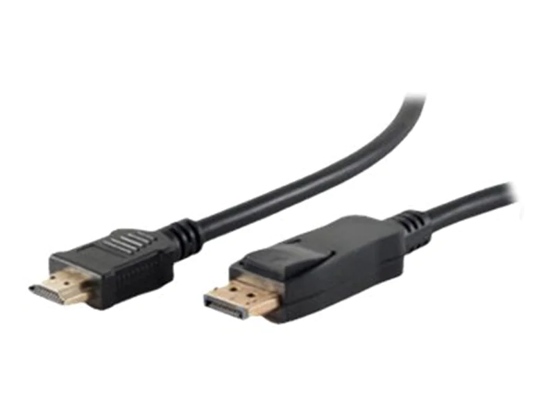 ShiverPeaks BASIC-S - Adapterkabel - DisplayPort BS77493-2