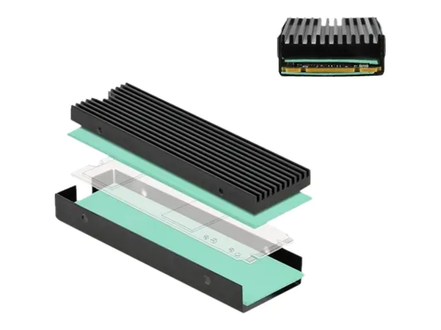 Delock Solid State Drive Kühlkörper - Schwarz 18353
