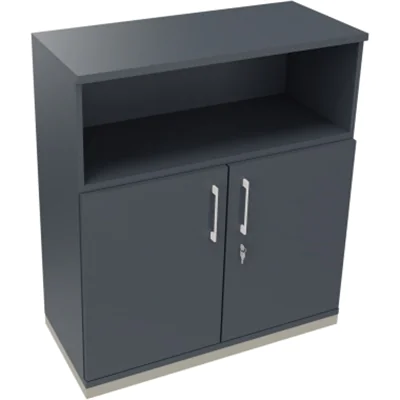 Kombischrank 2OH Tür 1OH Regal B1000xT442xH1133mm si/Lavagrau Kombischrank 2OH Tür 1OH Regal B1000xT442xH1133mm si/Lavagrau
