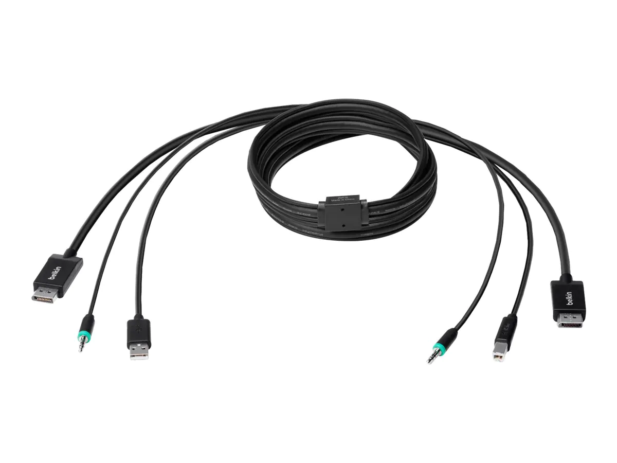 Belkin Secure KVM Combo Cable - Tastatur- / Video- / Maus- / Audio-Kabel - TAA-konform - USB, Mini-Stecker, DisplayPort (M) F1D9019B06T