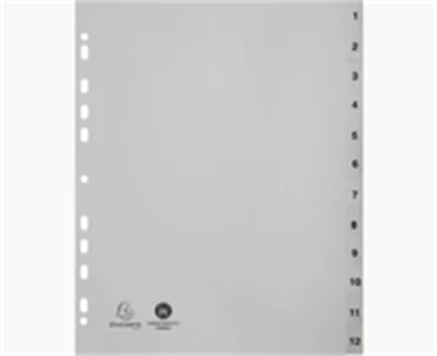 Register A4+ Tlg 1-12 PP grau 2912E A4+ PP 1-12 grau