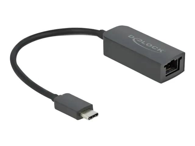 Delock Netzwerkadapter - USB-C 3.2 Gen 1 / 66645