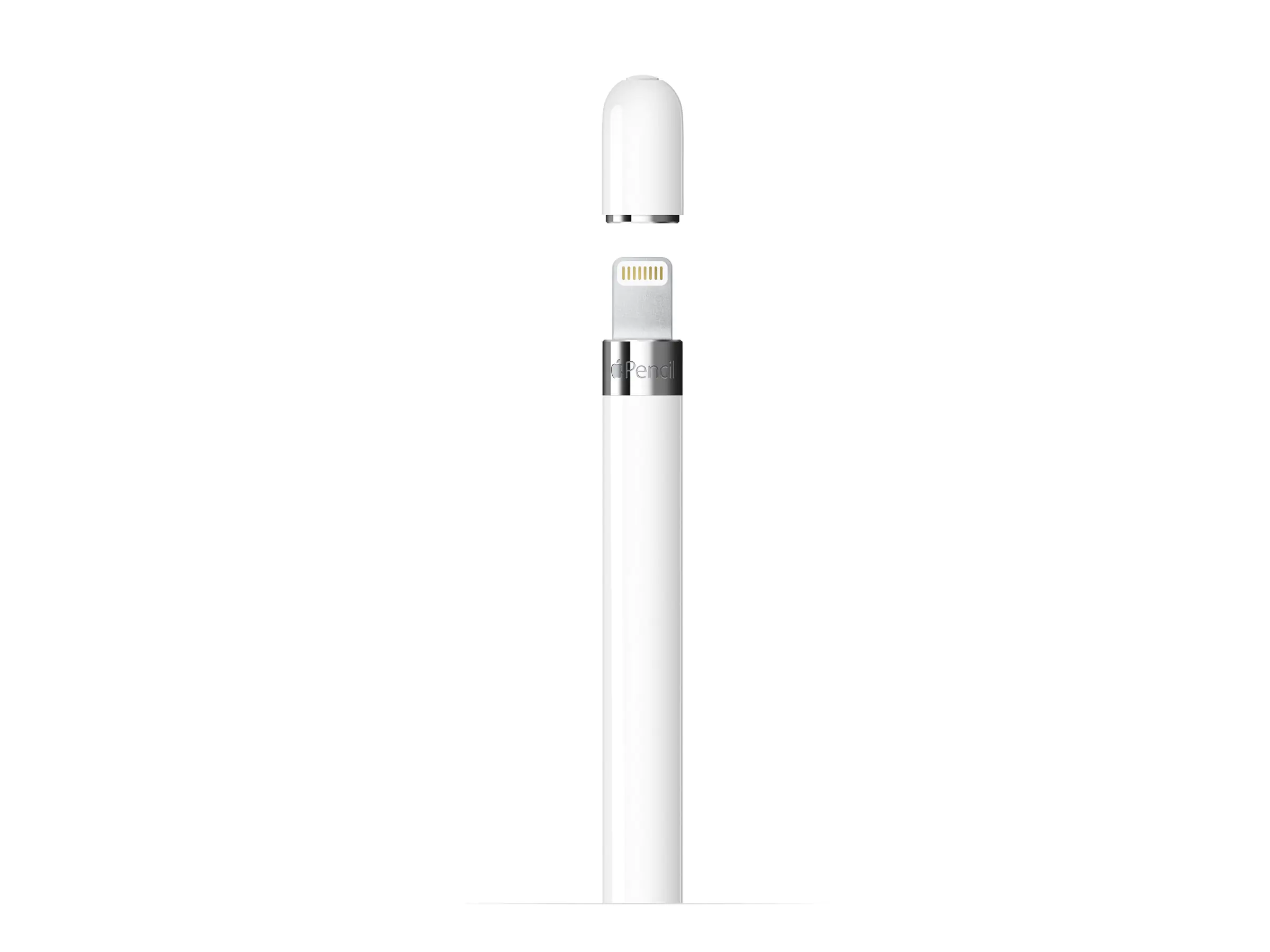 10.2-inch iPad (7th gen, 8th gen, 9th gen); 10.5-inch iPad Air; 9.7-inch iPad Pro; 10.5-inch iPad Pro; 12.9-inch iPad Pro (1st gen, 2nd gen); iPad mini 5