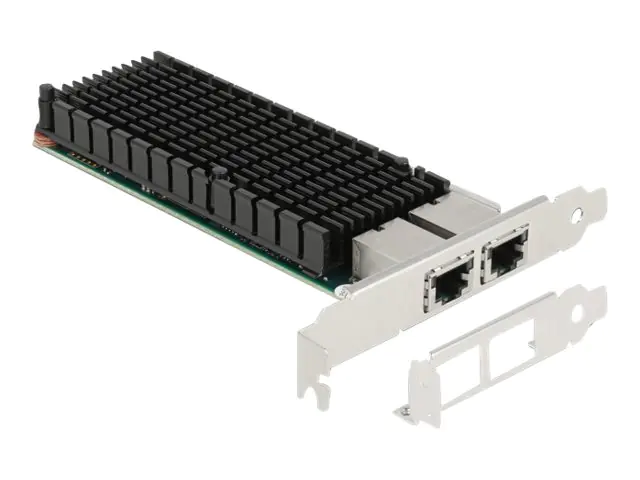 Delock - Netzwerkadapter - PCIe 2.0 x8 - 10Gb Ethernet x 2