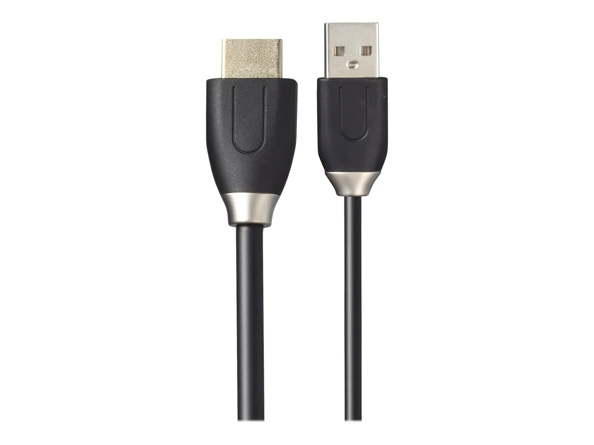 ViewSonic VB-WPS-003 Cast Button - Netzwerkmedien-Streaming-Adapter