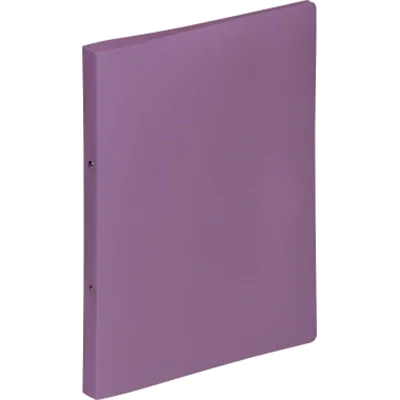 Pagna Ringbuch 20901-12 A4 16mm PP 2-Ring-Mechanik lila