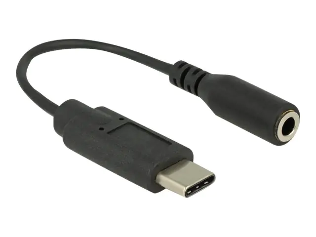 Delock Audio-Adapter - USB-C (M) zu mini-phone stereo 3.5 mm (W) 65842