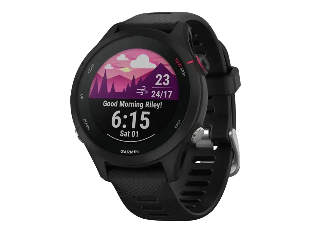 Garmin Forerunner 255S Music - 41 mm - Sportuhr mit Riemen - Silikon - Handgelenkgröße: 110-175 mm - Anzeige 2.75 cm (1.1") 010-02641-32