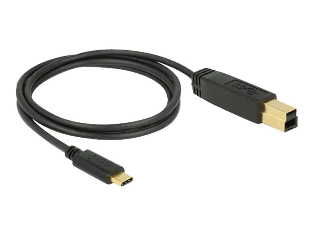 Delock - USB-Kabel - 24 pin USB-C (M) zu USB Type B (M) - USB 3.1 Gen 2 - 3 A - 1 m - Schwarz