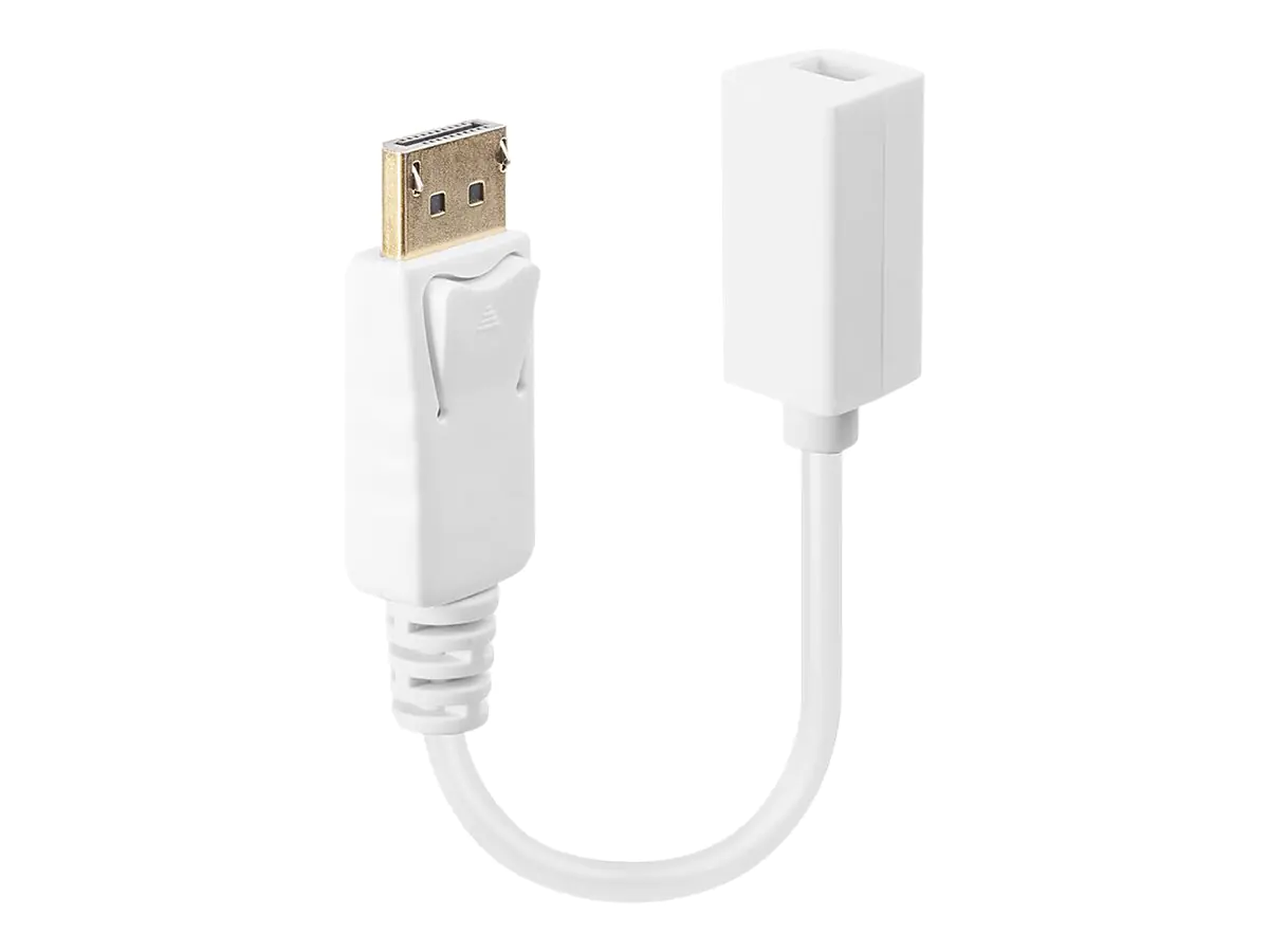 Lindy - DisplayPort-Adapter - DisplayPort (M) zu Mini DisplayPort (W) - 15 cm - weiß