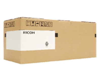 Ricoh Schwarz - original - Entwickler-Kit mit D1272212