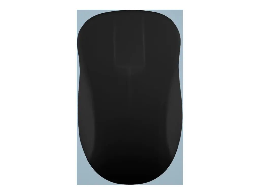 Active Key Medical AK-PMH21 - Maus - Hygiene, mit Touch-Scroll-Sensor - ergonomisch - rechts- und linkshändig - optisch - 2 Tasten - kabellos - 2.4 GHz - kabelloser Empfänger (USB) - Schwarz