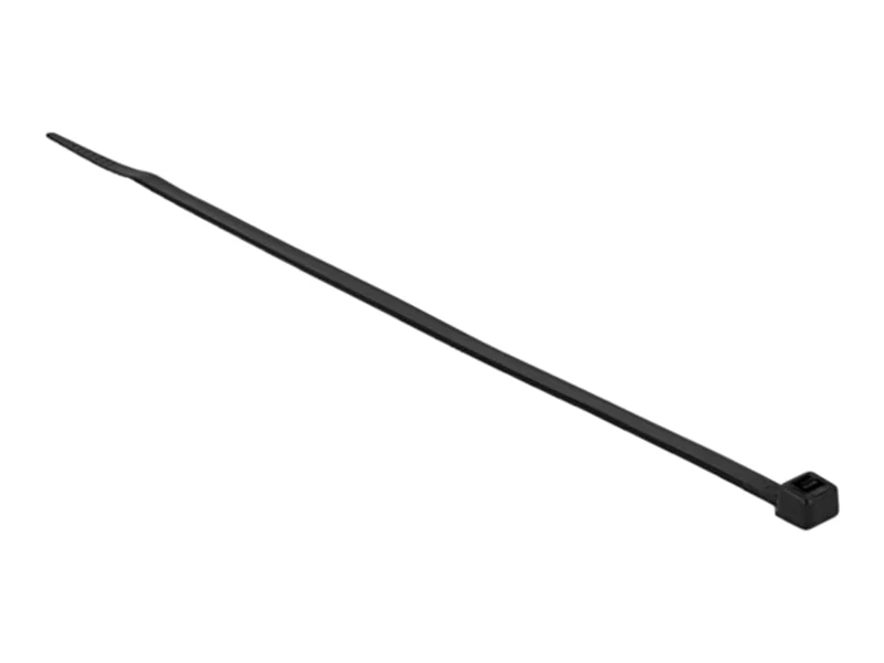 Delock - Kabelbinder - 30 cm - Schwarz (Packung mit 100)