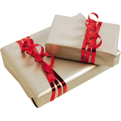 Clairefontaine Geschenkpapier 95776C 70cmx3m silber Clairefontaine Geschenkpapier 95776C 70cmx3m silber