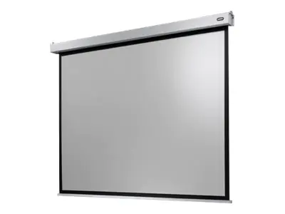 celexon Electric Professional Plus Data format - Leinwand - Deckenmontage möglich, geeignet für Wandmontage - motorisiert - 230 V - 250 cm (98") 1090765