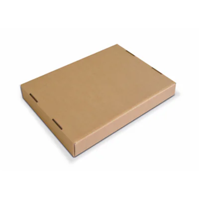ColomPac® Versandkarton 6 Innenmaße: 19,2 x 9,1 x 15,5 cm (B x H x T) Karton braun
