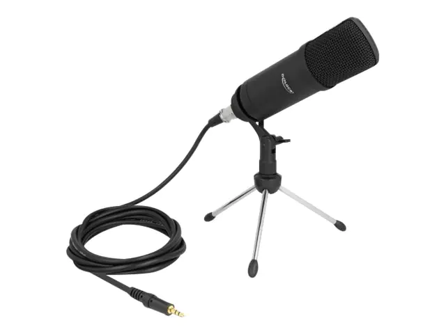 Delock Mikrofon - Schwarz 66640