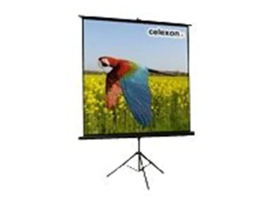 Celexon Economy tripod screen - Projektionsbildschirm mit Stativ - 265 cm (104") - 4:3
