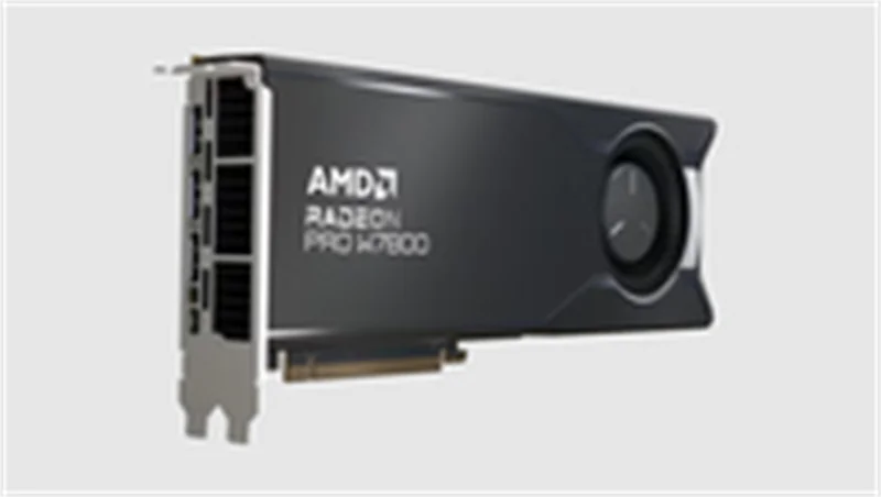 AMD Radeon Pro W7800 - Grafikkarte - Radeon Pro 100-300000075
