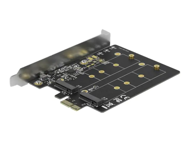 Delock Speicher-Controller - M.2 - M.2 Card 90432
