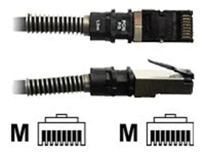 PatchSee PCI6Patch - Patch-Kabel - RJ-45 (M) zu RJ-45 (M) - 3.1 m - FTP - CAT 6a - geschirmt, halogenfrei