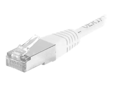 DEXLAN Patch-Kabel - RJ-45 (M) zu RJ-45 (M) 850021