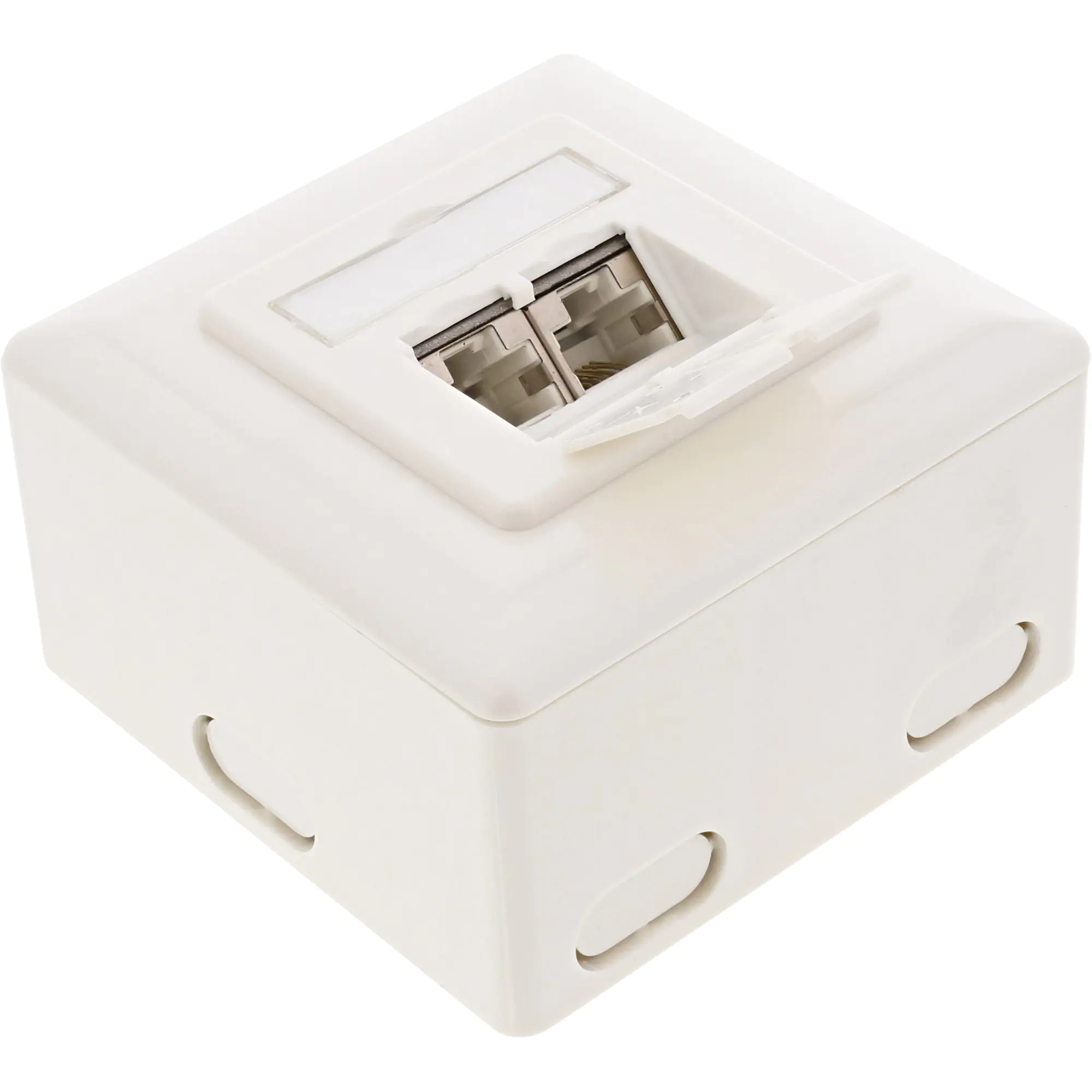 InLine - Ausgang - geeignet für Wandmontage - CAT 6a - STP - RJ-45 X 2 - weiß, RAL 9010 InLine - Ausgang - geeignet für Wandmontage - CAT 6a - STP - RJ-45 X 2 - weiß, RAL 9010
