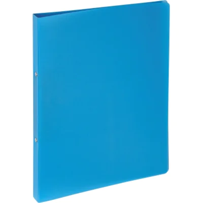 Pagna Ringbuch 20901-13 A4 16mm PP 2-Ring-Mechanik hellblau