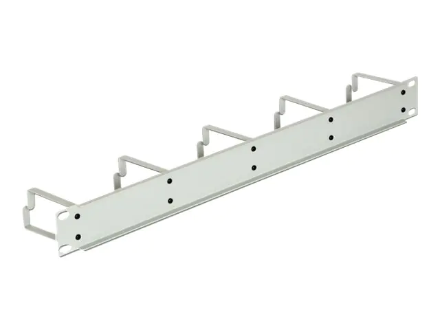 DeLOCK - Kabelmanagement - Hellgrau, RAL 7035 - 1U - 48.3 cm (19")