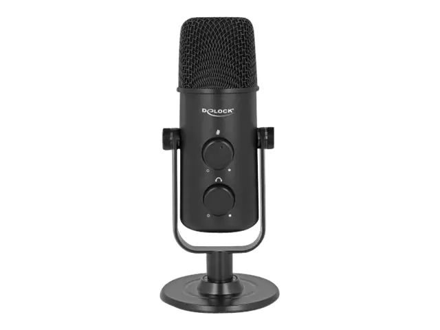 Delock Mikrofon - USB - Schwarz 66822