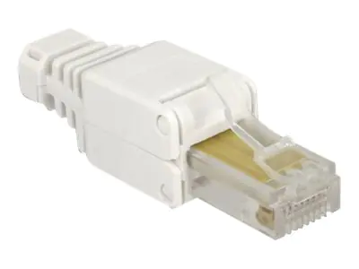 Delock Netzwerkanschluss - RJ-45 (M) - UTP - CAT 5e - (Anzahl pro Packung: 2) 86415
